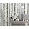 Wall Stickers with a Pattern of BIRCH Trees