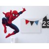 Wall Stickers with Marvel Motive SPIDERMAN
